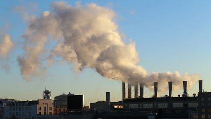 如何成為碳排放管理師并開展環(huán)保咨詢服務的完整指南